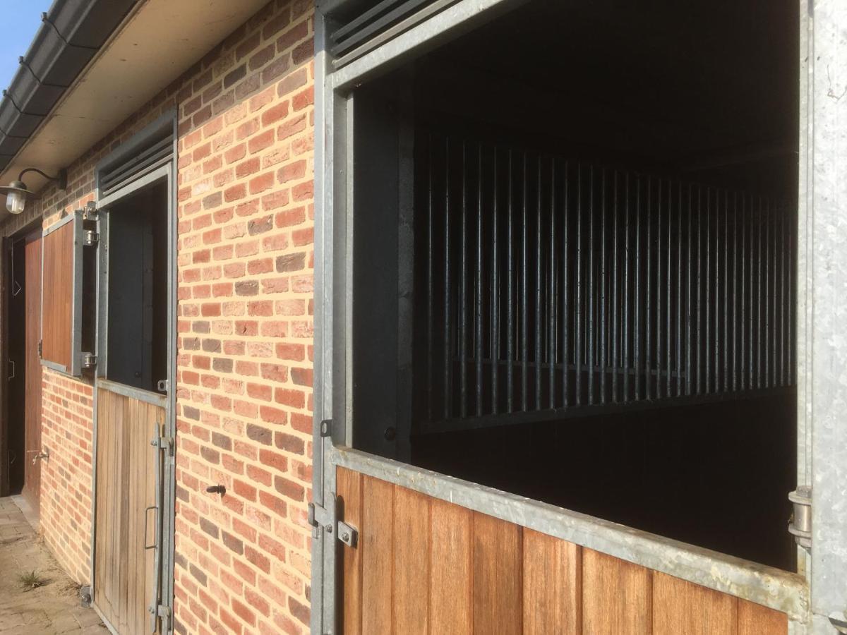 Vakantiewoning Pelterheggen Grote Heide Exterior foto